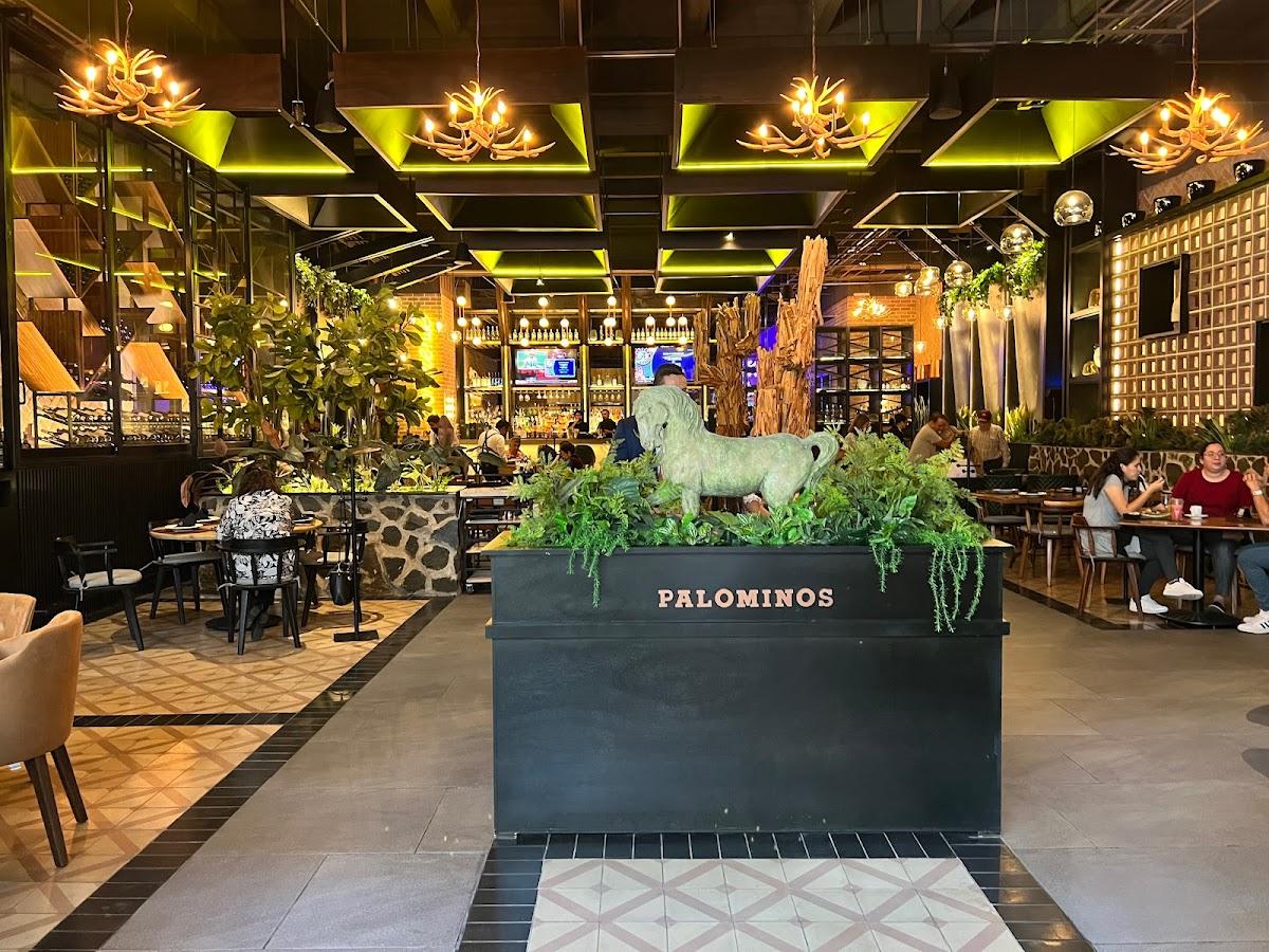 Palominos — Comercial — Installred